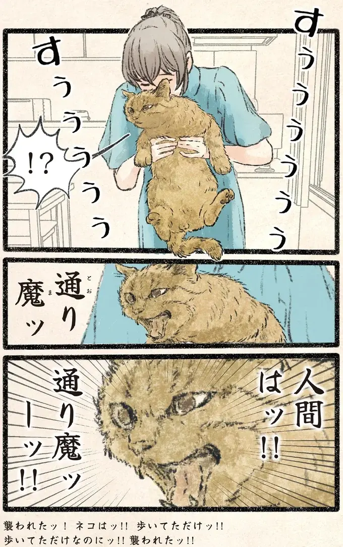 襲われたッ！ 見回り中のネコ様を飼い主がすれ違いざまに...!?／今日もネコ様の圧が強い2（4）