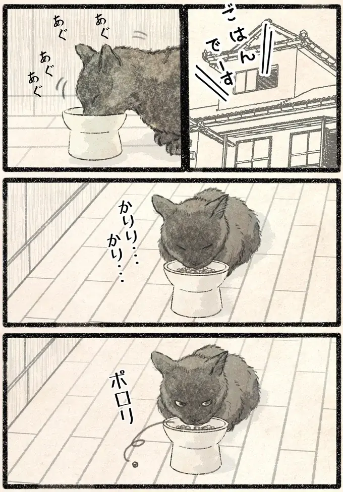 襲われたッ！ 見回り中のネコ様を飼い主がすれ違いざまに...!?／今日もネコ様の圧が強い2（5）