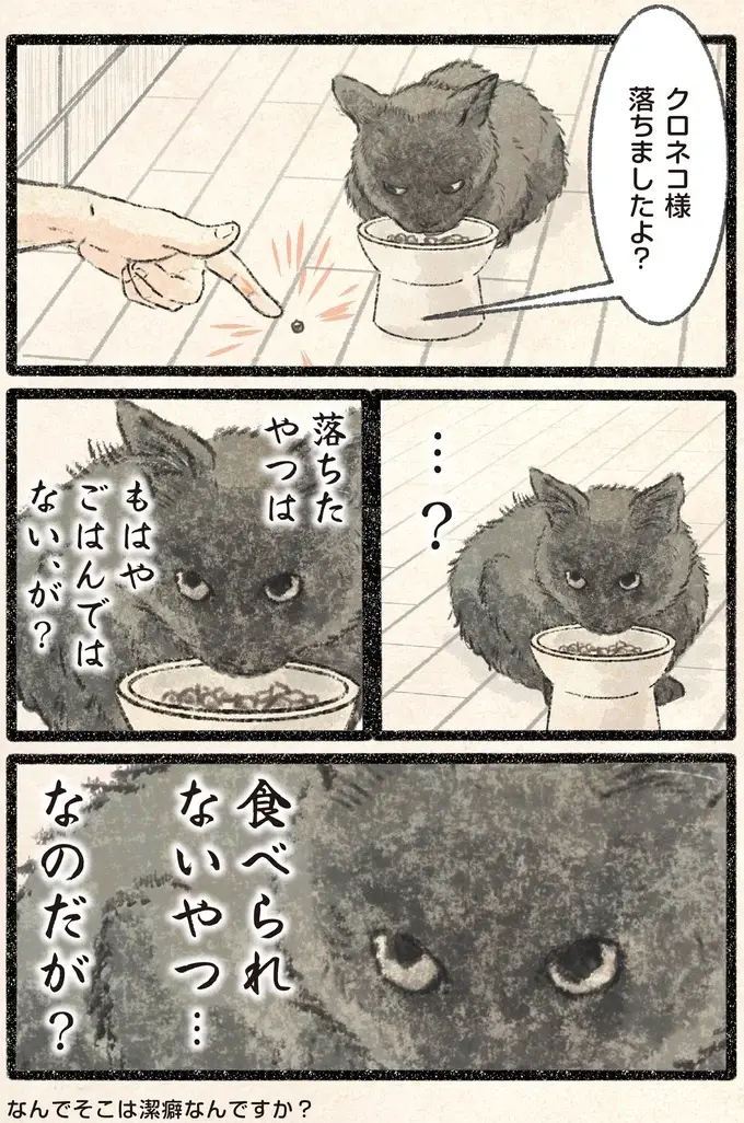 襲われたッ！ 見回り中のネコ様を飼い主がすれ違いざまに...!?／今日もネコ様の圧が強い2（6）