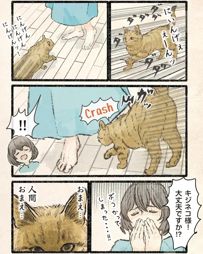 「人間おまえ...」ネコ様が飼い主の足にぶつかってくる。なのに完全に被害者顔!?／今日もネコ様の圧が強い2（2）