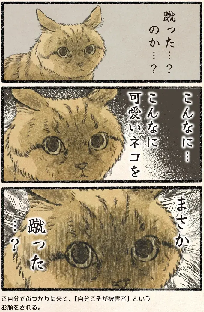 「人間おまえ...」ネコ様が飼い主の足にぶつかってくる。なのに完全に被害者顔!?／今日もネコ様の圧が強い2（3）