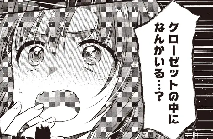 一人暮らしのクローゼットから「ドン！」この音、いったい何⁉／或いは、私の名探偵 1（1）