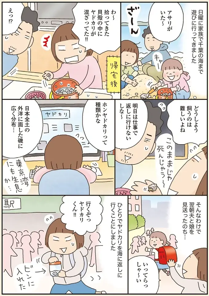 きっかけはヤドカリ!? ママになって久々のひとり遠足で東京・お台場へ／うきうき思いつきひとり遠足（4）
