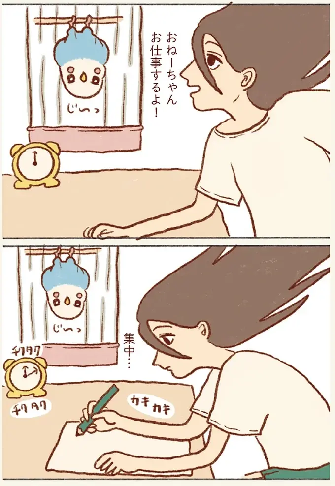 なぜ⁉ セキセイインコがよくする逆さ吊り。理由を調べてみたら「ほっこり」／プジェ日記！ （4）