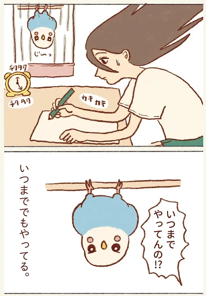 なぜ⁉ セキセイインコがよくする逆さ吊り。理由を調べてみたら「ほっこり」／プジェ日記！ （5）