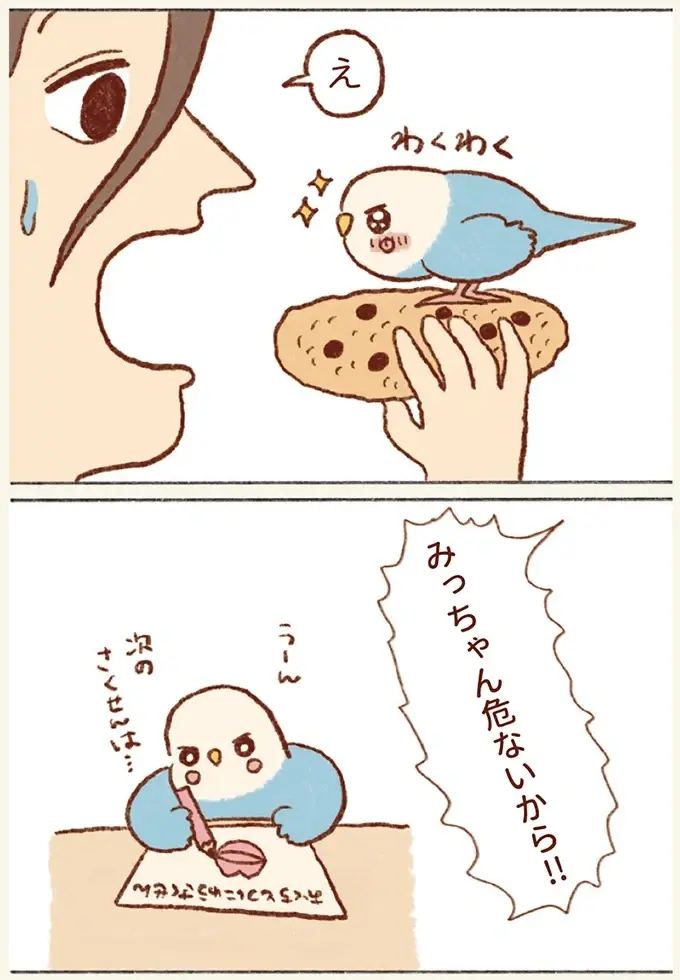 どうしても飼い主の口の中を探検したいセキセイインコ。お菓子に乗って「突入！」／プジェ日記！ （6）