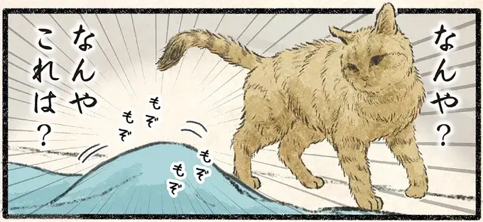 ネコ様が危険を察知⁉ 人間に吸われるぅぅぅー！／今日もネコ様の圧が強い2（1）