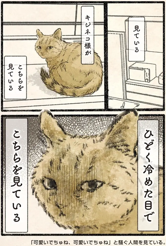 ネコ様が危険を察知⁉ 人間に吸われるぅぅぅー！／今日もネコ様の圧が強い2（2）