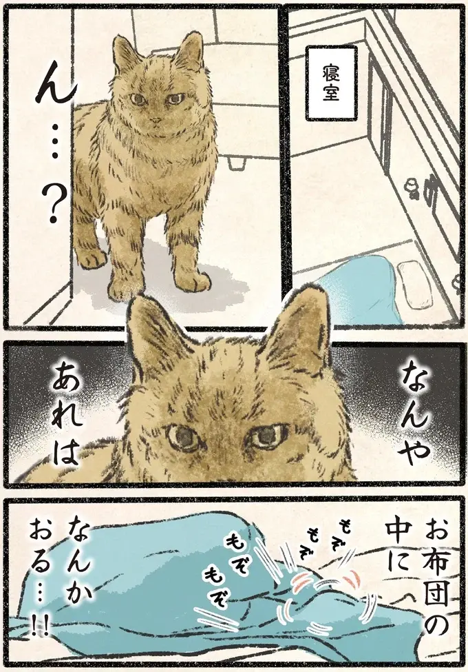 ネコ様が危険を察知⁉ 人間に吸われるぅぅぅー！／今日もネコ様の圧が強い2（3）