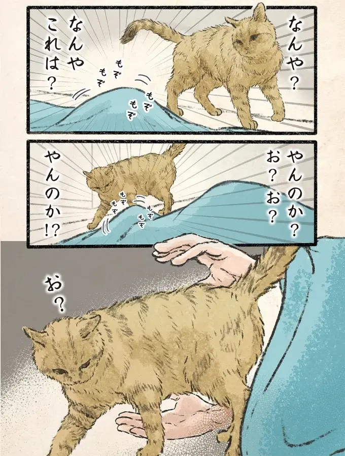 ネコ様が危険を察知⁉ 人間に吸われるぅぅぅー！／今日もネコ様の圧が強い2（4）