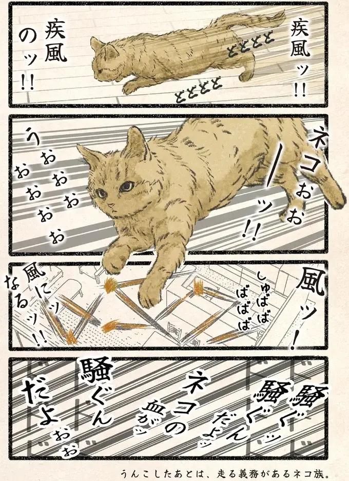 疾風のごとく部屋中を駆け回るネコ様が。血が騒ぐ「理由」は？／今日もネコ様の圧が強い2（2）