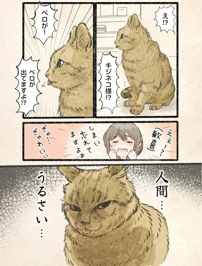 「うるさい...」。愛猫がベロを出す様子に「しまい忘れてる」と飼い主は歓喜するが...／今日もネコ様の圧が強い2（2）