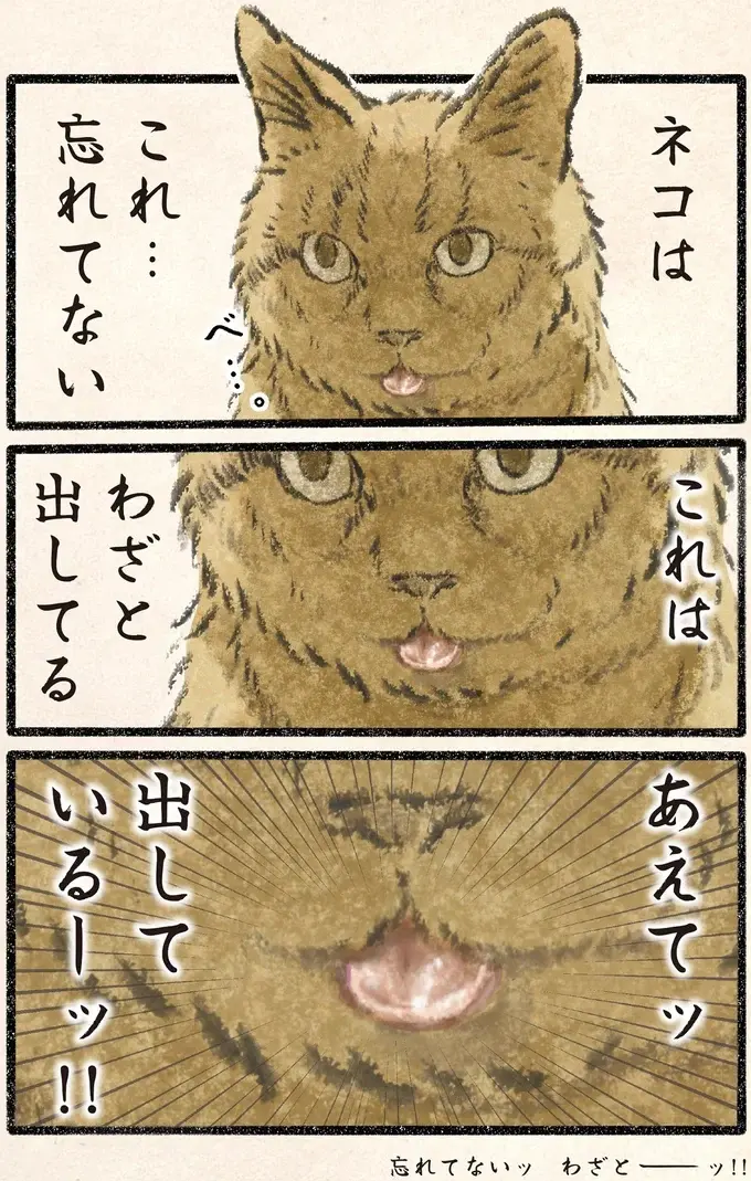 「うるさい...」。愛猫がベロを出す様子に「しまい忘れてる」と飼い主は歓喜するが...／今日もネコ様の圧が強い2（3）
