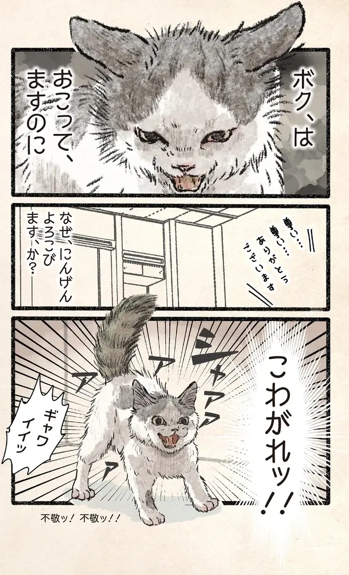 こわがれッ!! コネコ様がシャーッと全身で威嚇したのに、飼い主の反応は...／今日もネコ様の圧が強い2（3）