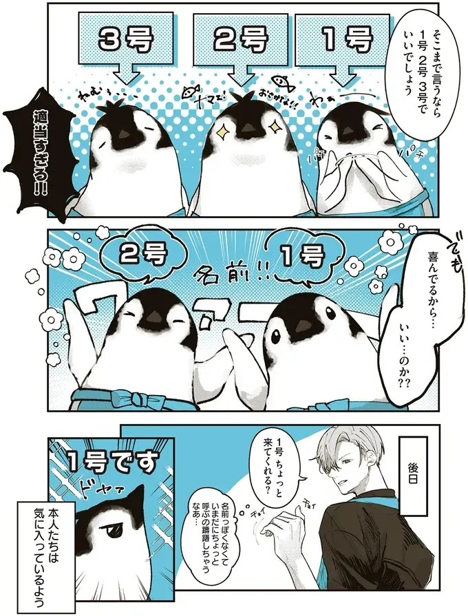 名前がないから店長が呼んでも伝わらない!? ペンギンたちに名前をつけてみた／ペンギン喫茶は今日も青天（4）