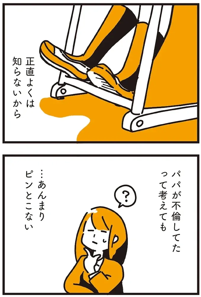 『不倫の子だなんて知りたくなかった』（96）