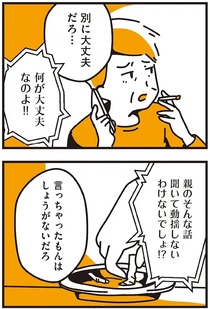 『不倫の子だなんて知りたくなかった』（196）