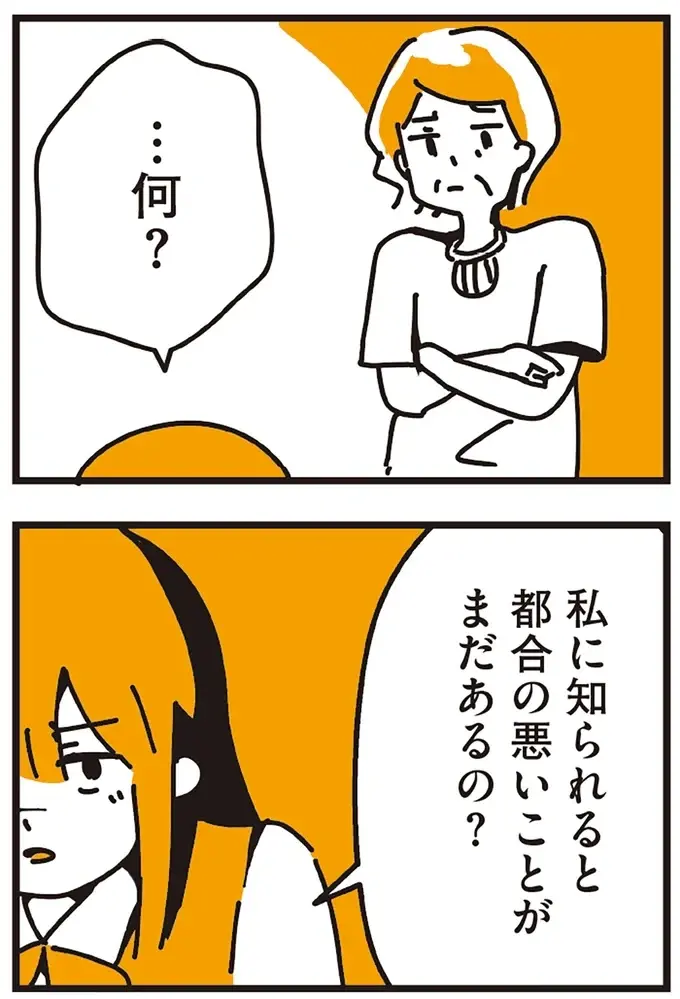 『不倫の子だなんて知りたくなかった』（245）