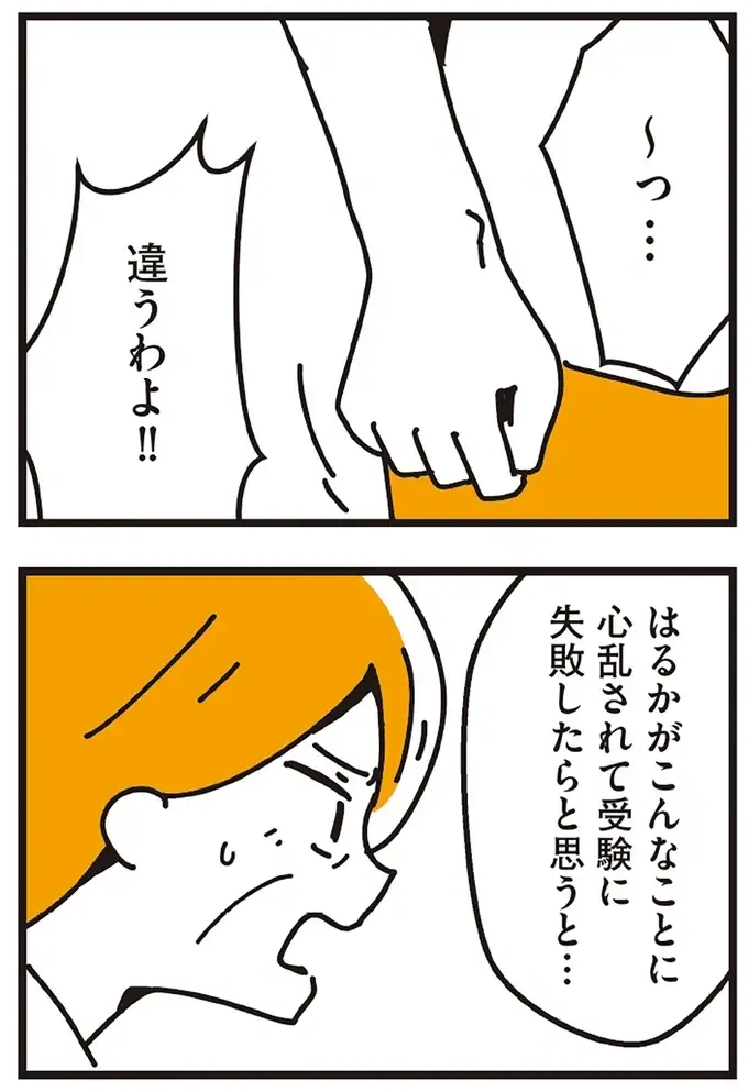 『不倫の子だなんて知りたくなかった』（246）