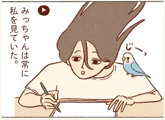 こんなに見てたの～？ 仕事中の私とセキセイインコを撮影した結果／プジェ日記！ （1）