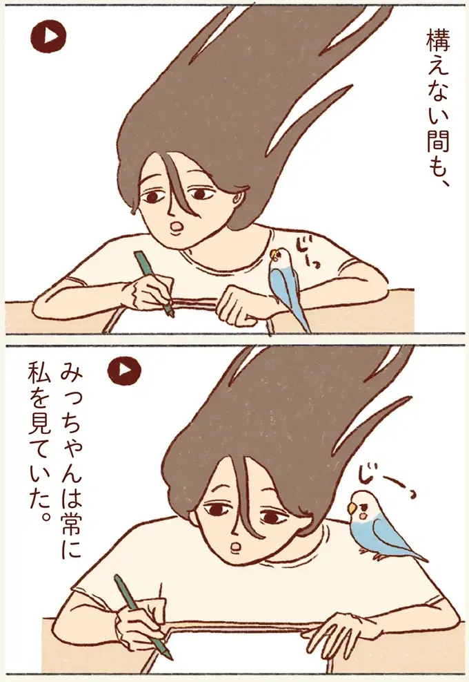 こんなに見てたの～？ 仕事中の私とセキセイインコを撮影した結果／プジェ日記！ （4）