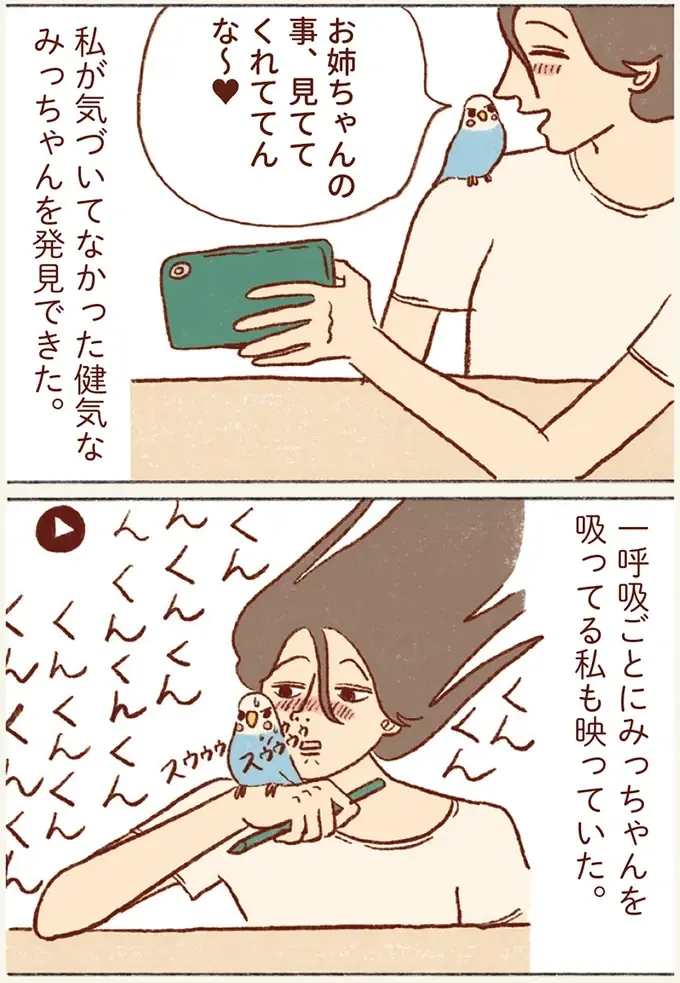 こんなに見てたの～？ 仕事中の私とセキセイインコを撮影した結果／プジェ日記！ （5）