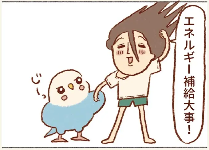 こんなに見てたの～？ 仕事中の私とセキセイインコを撮影した結果／プジェ日記！ （6）
