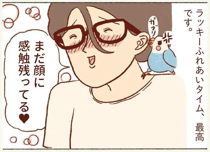 チャンスは眼鏡着用時とスマホ。たまに来るセキセイインコとのふれあいタイムが尊くて／プジェ日記！ （6）