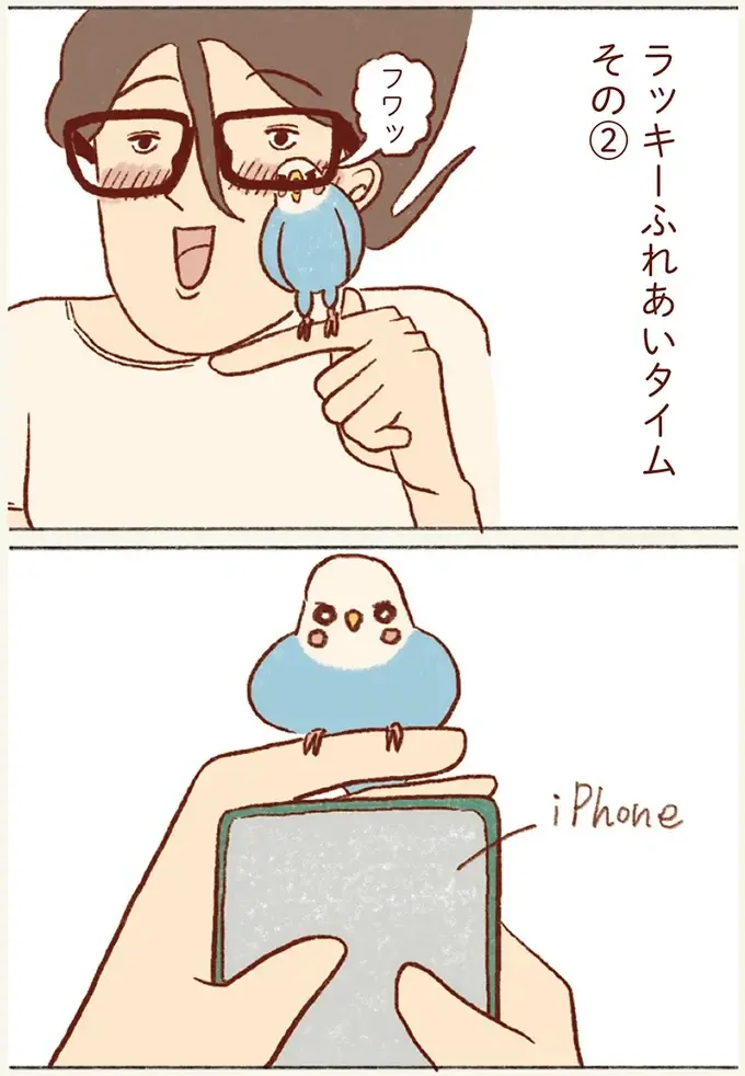 チャンスは眼鏡着用時とスマホ。たまに来るセキセイインコとのふれあいタイムが尊くて／プジェ日記！ （7）