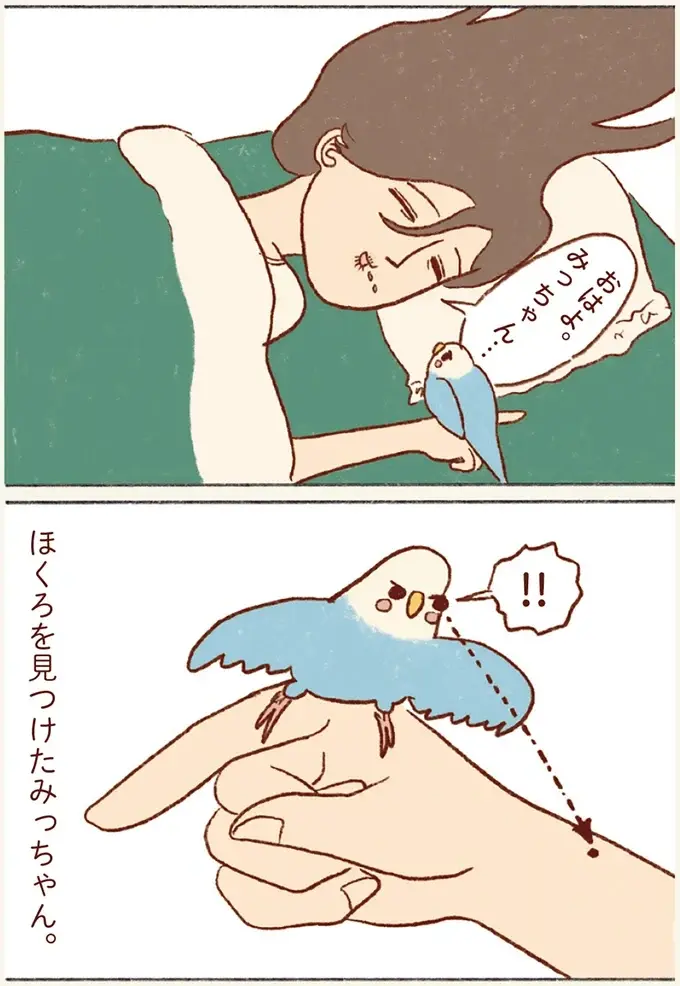 私の手にあるほくろを⁉ 飼い主とセキセイインコの幸せな朝の風景／プジェ日記！ （4）