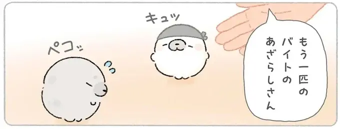 ラーメン店でアルバイト。緊張する新人あざらしに先輩あざらしがあげたもの／ちょこんとあざらし（1）