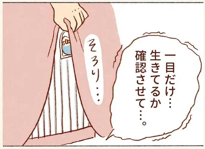 確認するだけだから...静かすぎるセキセイインコが心配で、ついケージのカバーをめくってみたら？／プジェ日記！ （1）