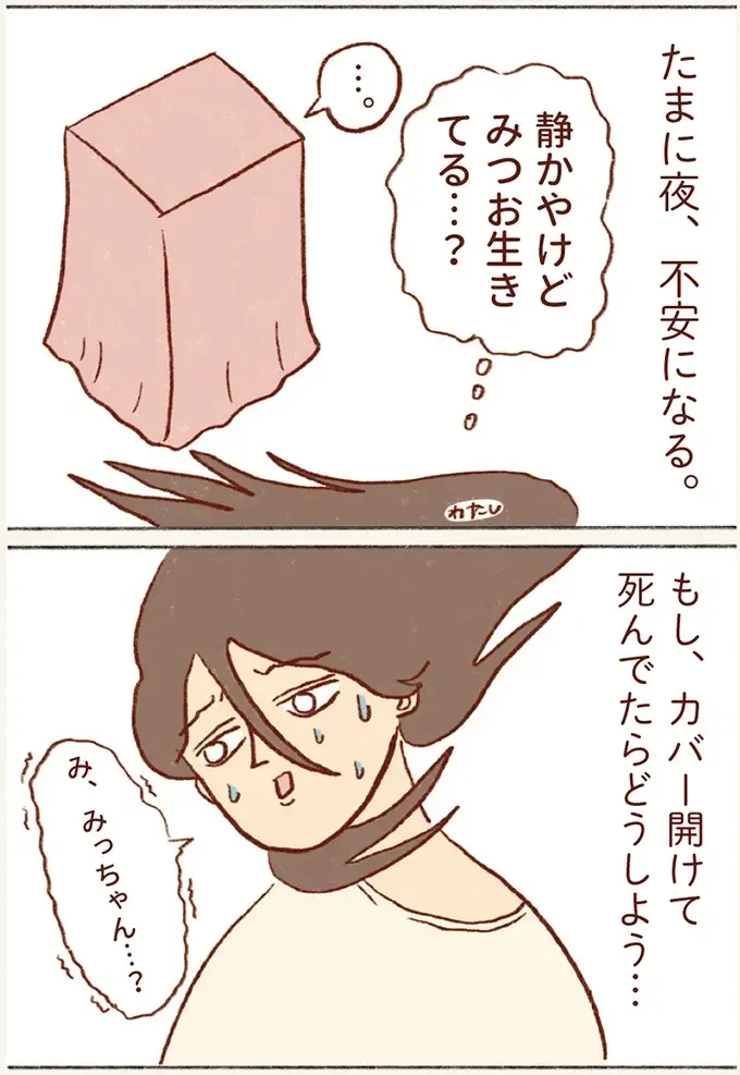 確認するだけだから...静かすぎるセキセイインコが心配で、ついケージのカバーをめくってみたら？／プジェ日記！ （3）