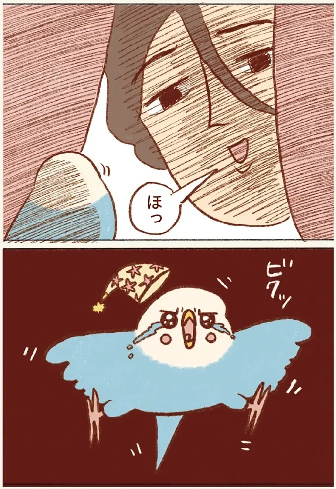 確認するだけだから...静かすぎるセキセイインコが心配で、ついケージのカバーをめくってみたら？／プジェ日記！ （5）