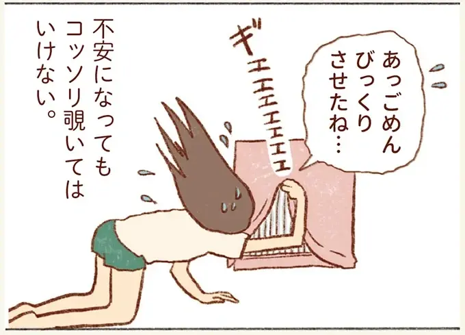 確認するだけだから...静かすぎるセキセイインコが心配で、ついケージのカバーをめくってみたら？／プジェ日記！ （6）