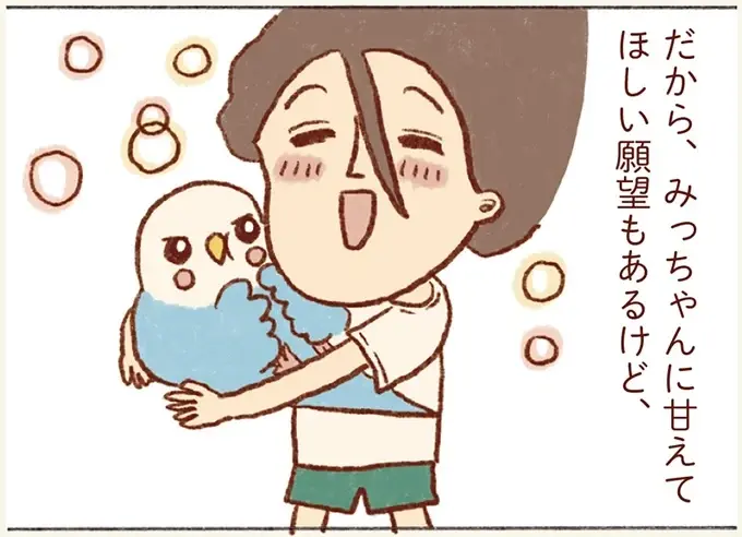 インコに甘えてほしい気持ちはあるけれど。うちの子はツンデレ対応でいい！／プジェ日記！ （1）