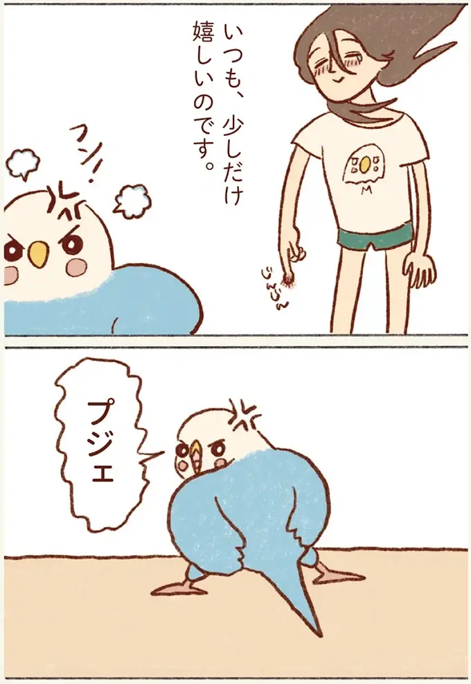 インコに甘えてほしい気持ちはあるけれど。うちの子はツンデレ対応でいい！／プジェ日記！ （6）