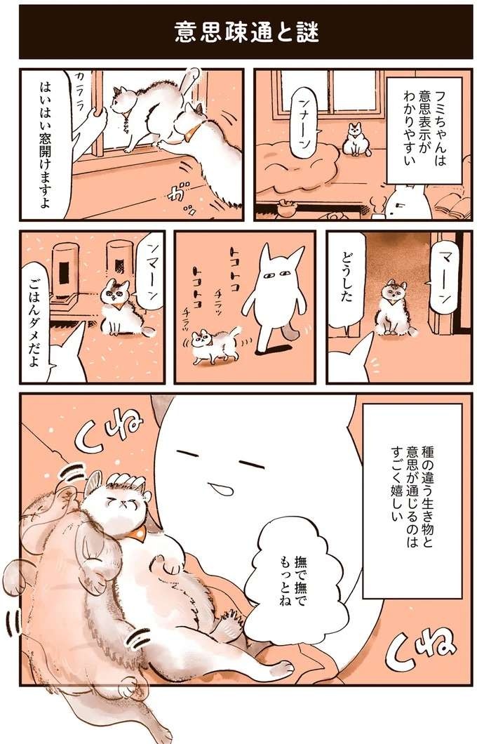 猫の謎行動。 何もない壁に向かい悪魔にとり憑かれたのかのように鳴き続け...／うちの猫は仲が悪い（3）