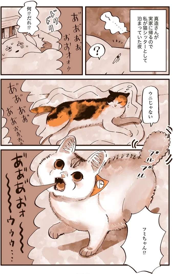 猫の謎行動。 何もない壁に向かい悪魔にとり憑かれたのかのように鳴き続け...／うちの猫は仲が悪い（5）
