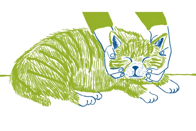 しっぽの付け根って気持ちがいいの⁉「猫が触られて喜ぶ4つの場所」／家ねこ大全（22）（2）