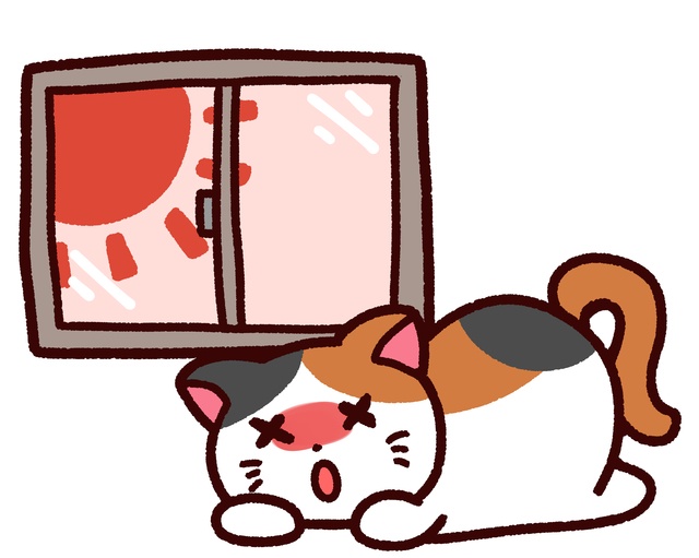 保冷剤を使うのはNG！　獣医師が教える「猫の熱中症対策」／家ねこ大全（24）　（1）