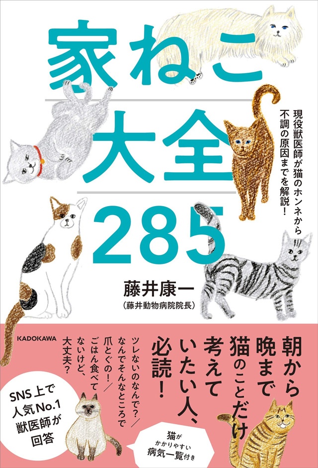 吐きたいの...？　いえ、実はそれ咳かもしれません。獣医師が教える「猫が吐く原因」／家ねこ大全（33）（4）