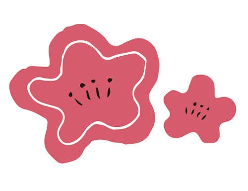 「季語」と「切れ字」を考えて春を詠む！ 初めて作る俳句「二時限目、三時限目」（6）