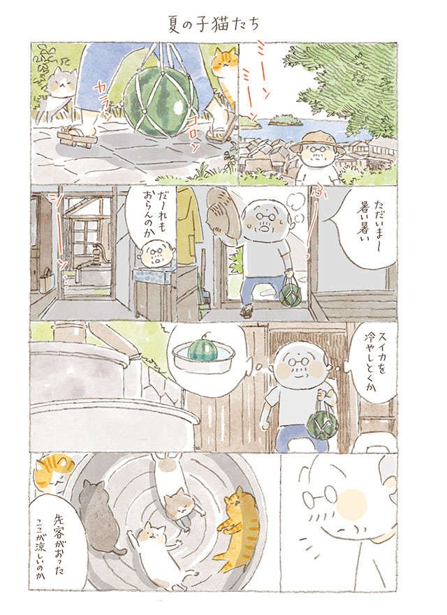 夏のスイカと子猫たち／ねことじいちゃん（第102回）（3）