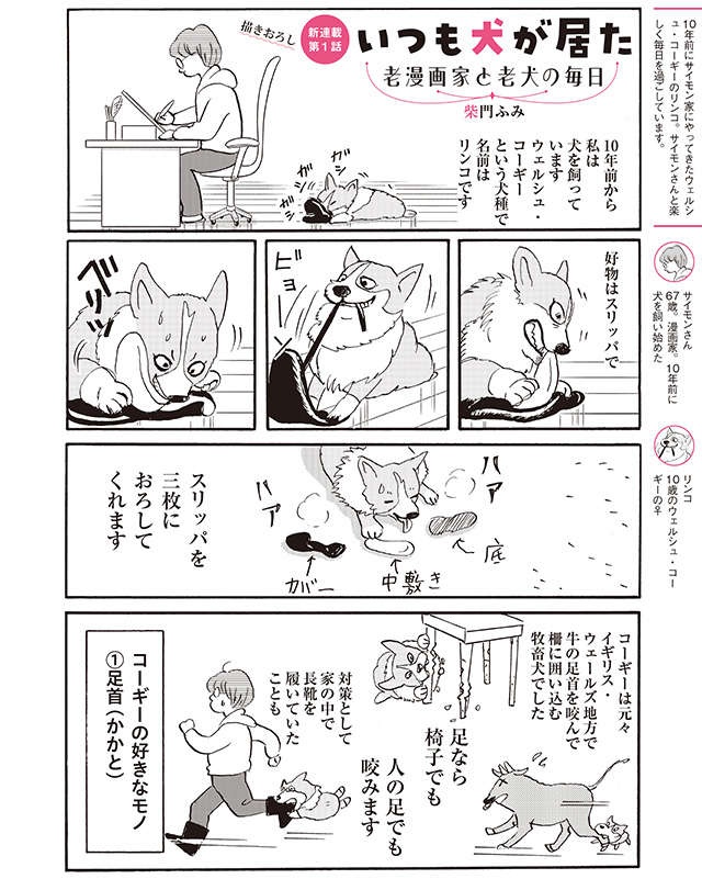柴門ふみさん描きおろし連載スタート！ 愛犬との日々を綴る『いつも犬が居た』（2）