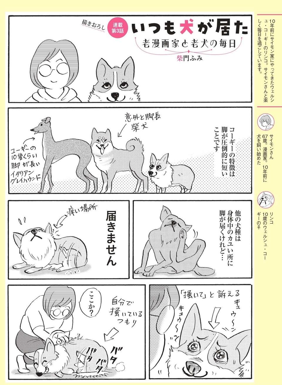 【柴門ふみさん描きおろし！】10年来の名前も知らぬ顔見知りのオジサンに「掻いて」。愛犬コーギーの訴え（2）