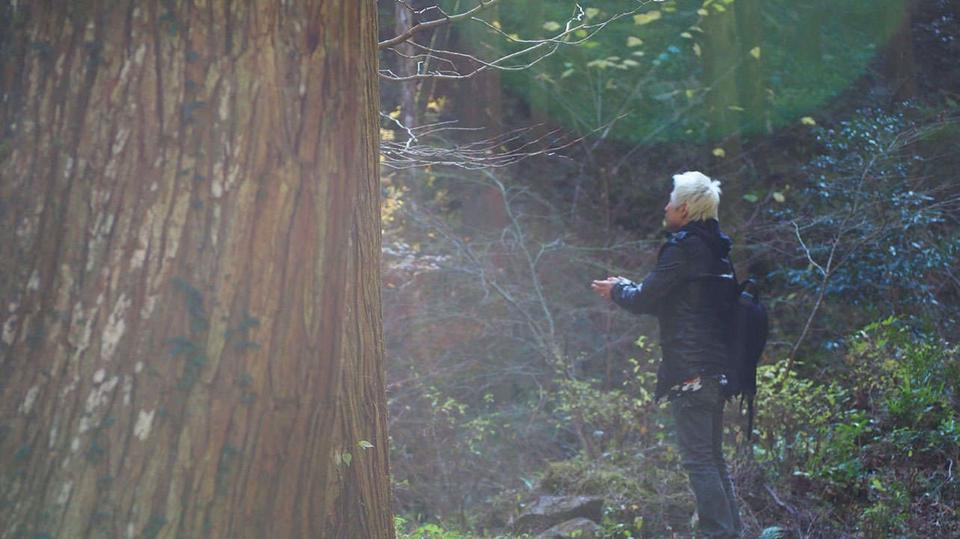 強力なエネルギーが存在！著者の人生を大きく変えた「秋元神社」（宮崎県）【龍がいる神社】（3）