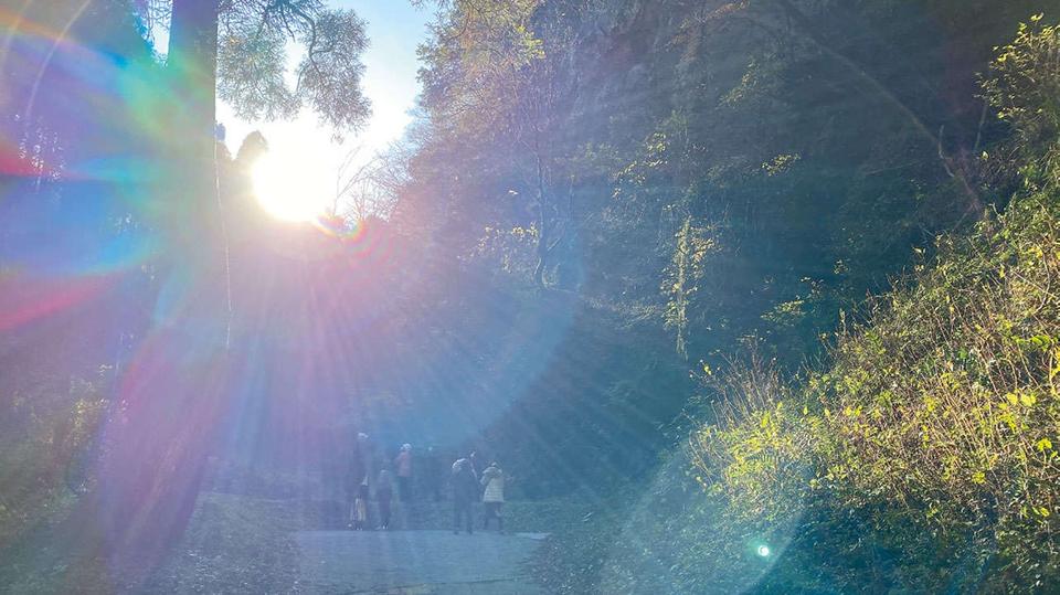 強力なエネルギーが存在！著者の人生を大きく変えた「秋元神社」（宮崎県）【龍がいる神社】（4）