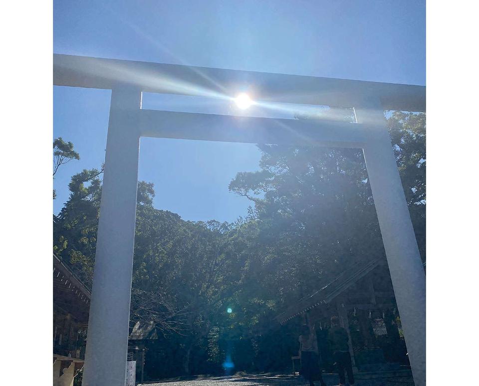 お金、自由、愛のある人間関係、すべてを得たいなら「安房神社」（千葉県）【龍がいる神社】（2）