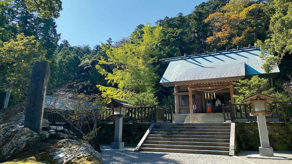 お金、自由、愛のある人間関係、すべてを得たいなら「安房神社」（千葉県）【龍がいる神社】（4）